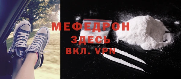 мдпв Бородино