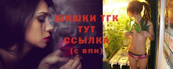 мдпв Бородино
