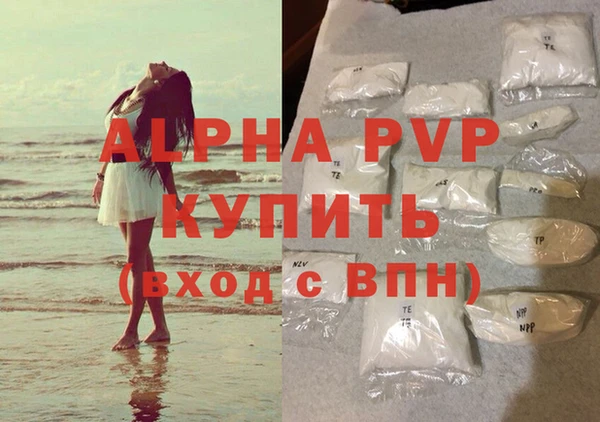 мдпв Бородино