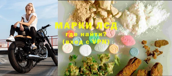 мдпв Бородино