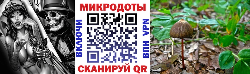 купить наркоту  Верещагино  Галлюциногенные грибы ЛСД 